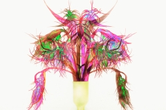 "Birds of Paradise"