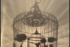 Rachel-Murray-Meyer-Sweet-Cage-Within-Refraction-2022