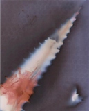 1_Nadine-Defranoux_Bloody-Aloe 1_Nadine-Defranoux_Bloody-Aloe