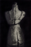 Photo © Barbara Hazen, Vera Study 2 Photo © Barbara Hazen, Vera Study 2