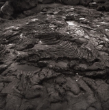 Photo © Wilton Wong, Lava Frozen in Time Photo © Wilton Wong, Lava Frozen in Time