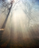 Photo © Ian Bates