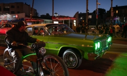Lipman_Suz_Cruising_2024