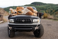 Photo © Tommy Bruce, Trophy, 16 x 24 inches