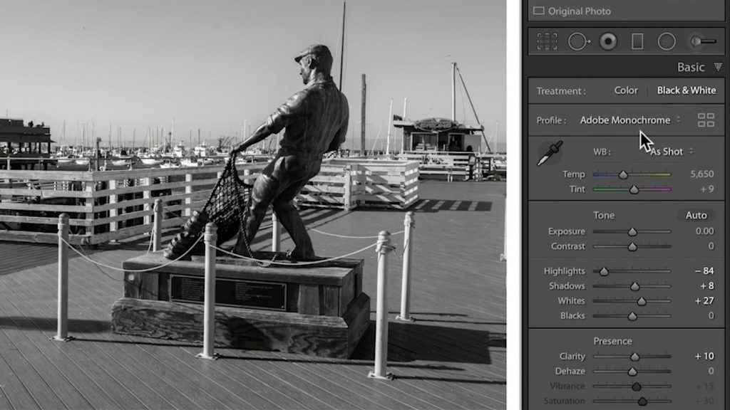 Lightroom-Black-and-White-3-adobe-monochrome