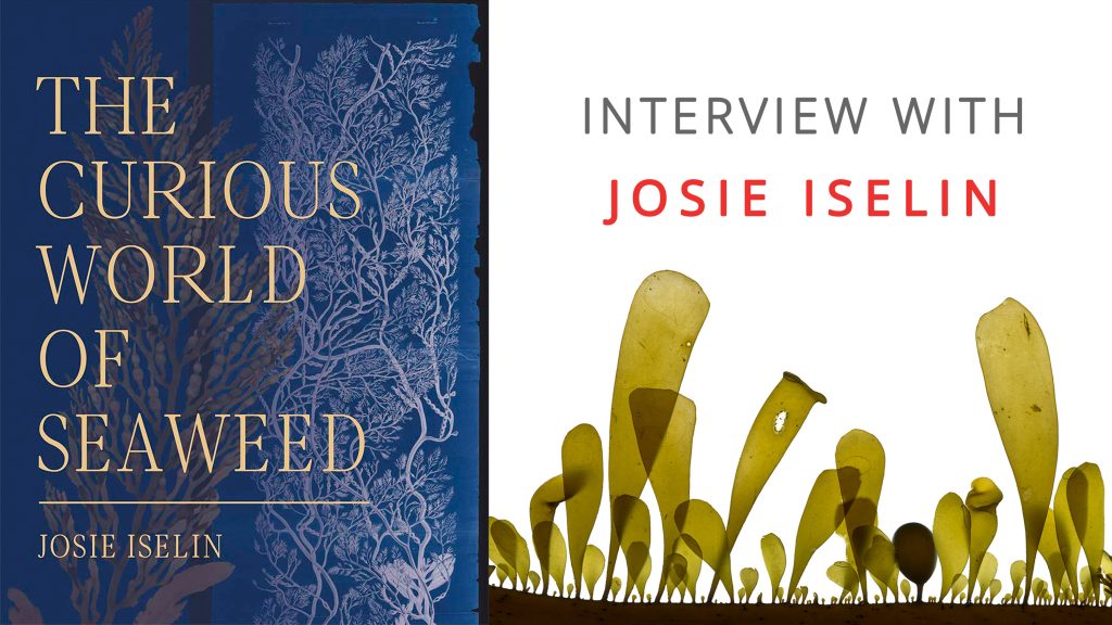 The Curious World Of Seaweed © Josie Iselin