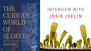 The Curious World Of Seaweed © Josie Iselin